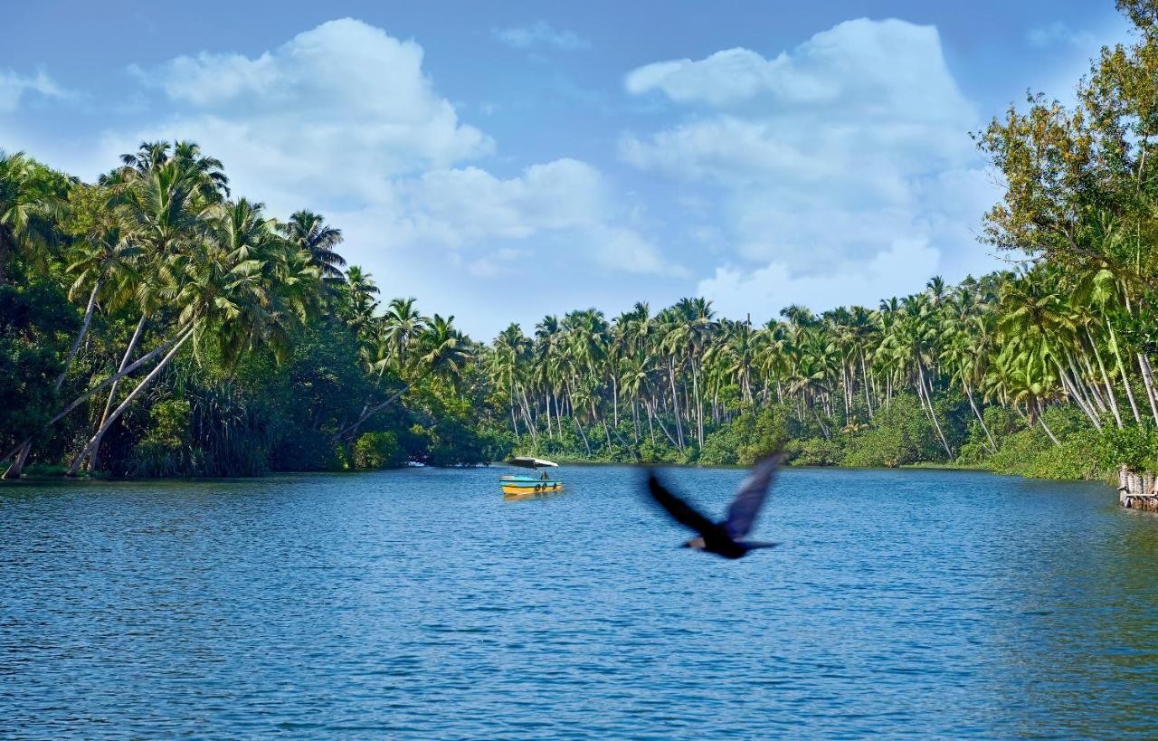 Estuary Sarovar Premiere Poovar Island Exteriör bild